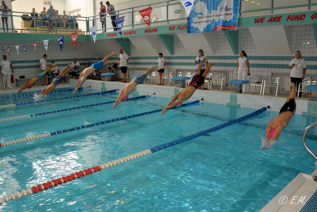 Чемпионат Ленинградской области по плаванию (25 метров)